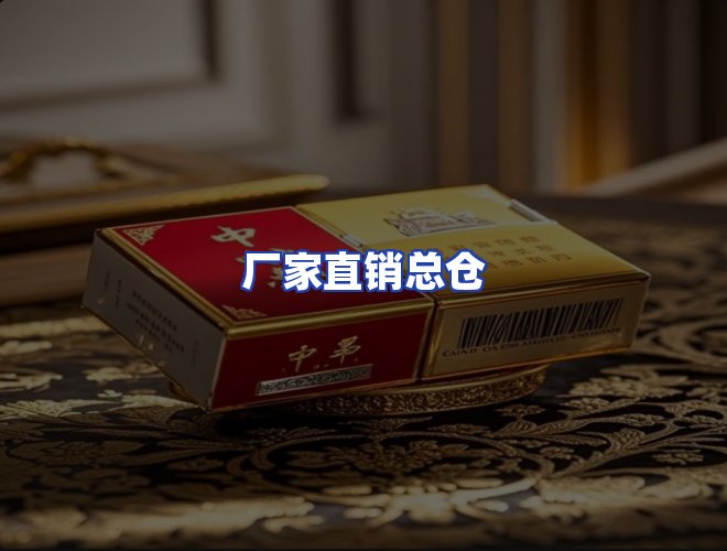 专业团队